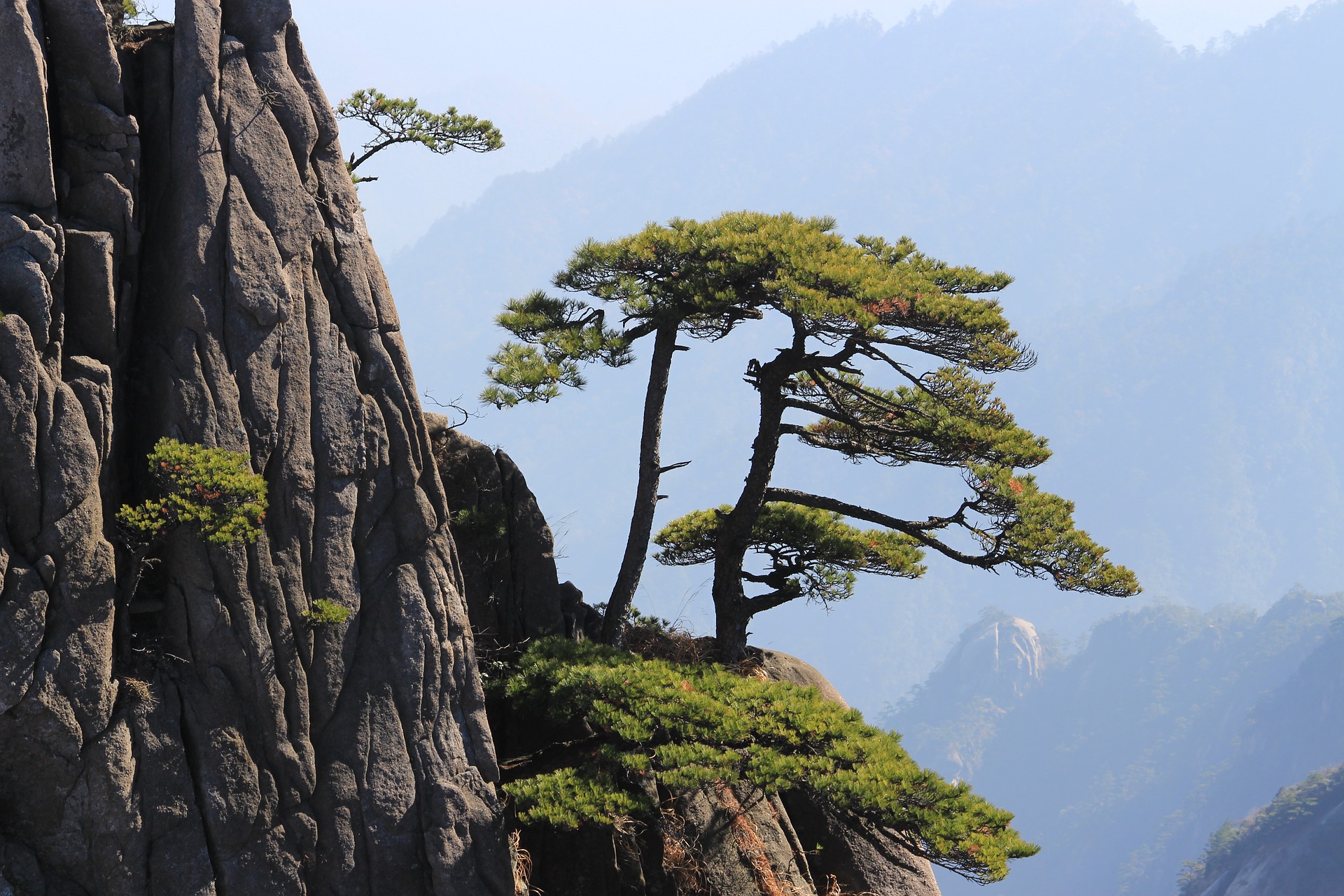 世界的黄山（Mt. Huangshan）